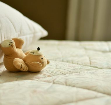 Punaises de lit : comment s'en débarrasser