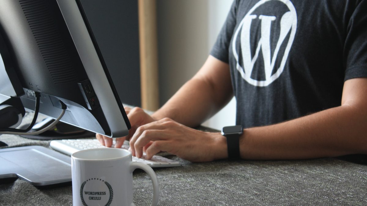 Quelle formation WordPress choisir selon votre profil ?